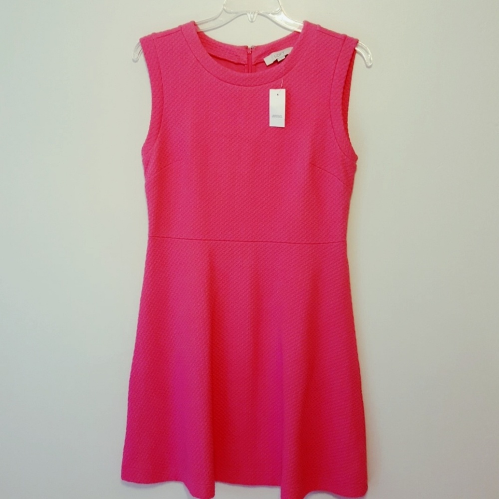 New Loft Shift Dress